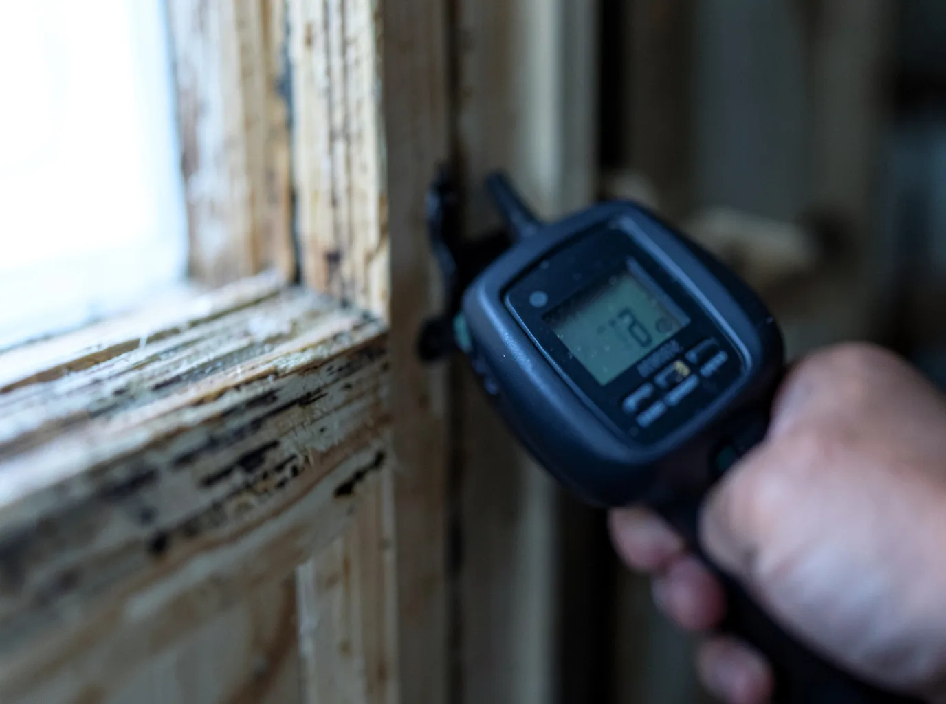Moisture Inspection And Documentation in Eden, AZ
